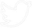 twt logo twt logo