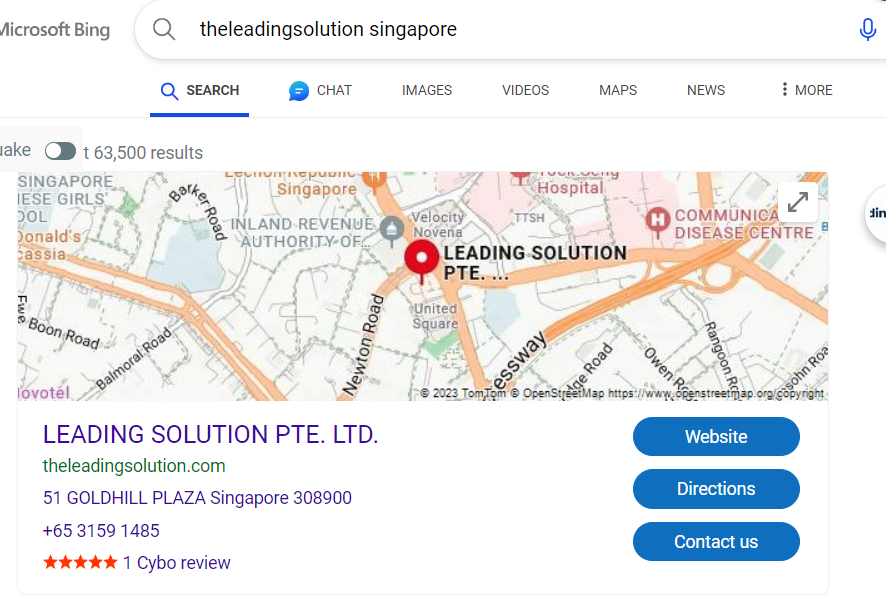 leading solution google my business