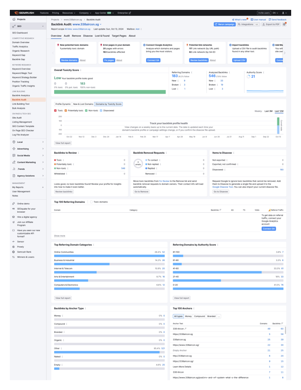 seo site audit toxic report - after