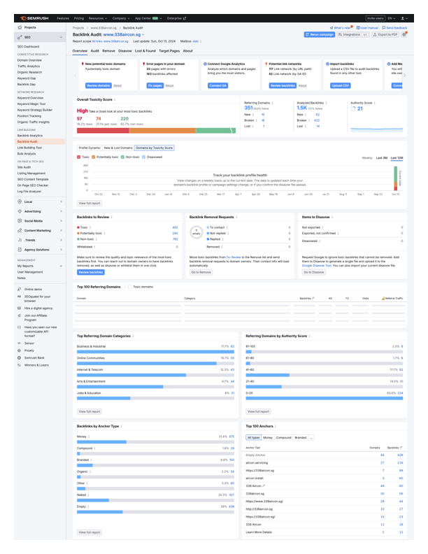 seo site audit toxic report - before