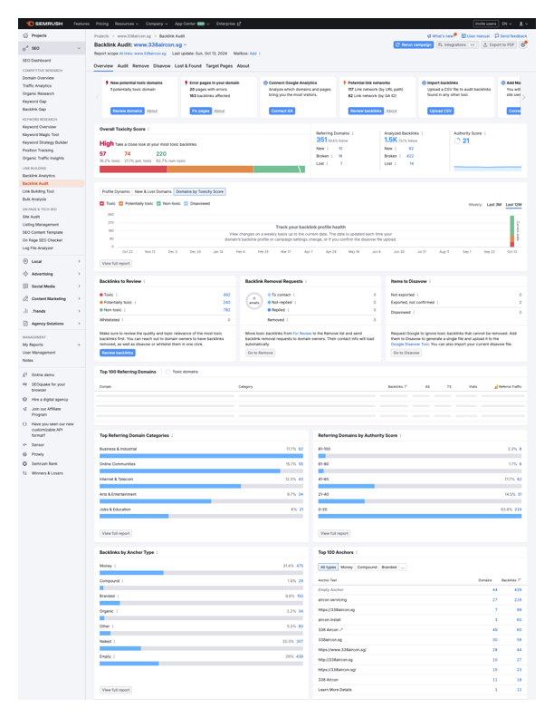 seo-site-audit-toxic-report-before seo-site-audit-toxic-report-before